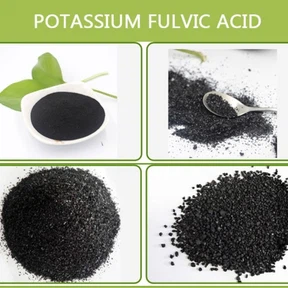 1615462758457 1615462758457