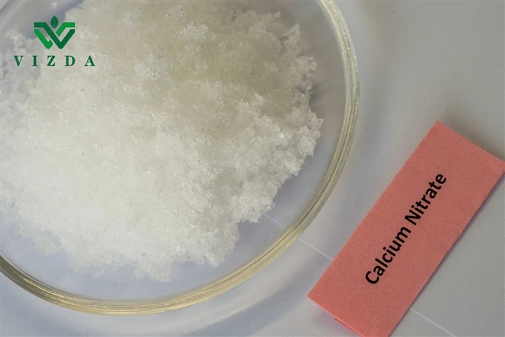 Calcium Nitrate Tetrahydrate Crystal
