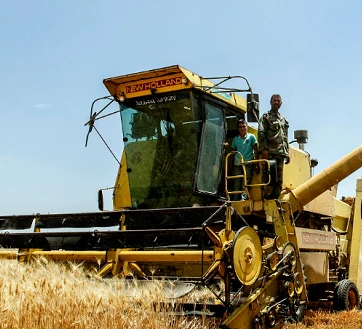 FAO Gıda Fiyat Endeksi Haziran'da Düşüşünü Sürdürdü