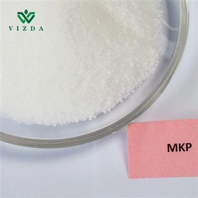 Dengeli Beslenme İçin Gelişmiş MKP