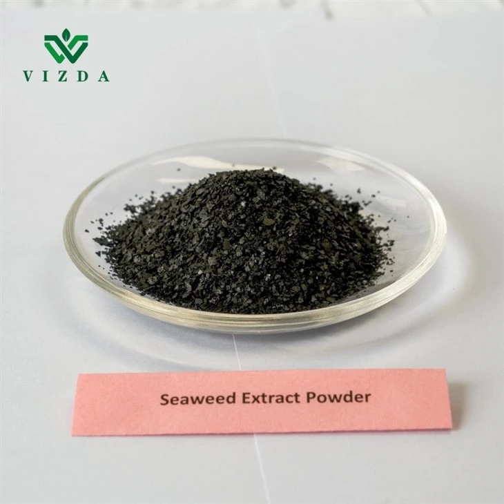 Soluble Black Seaweed Extract