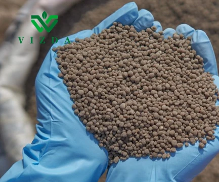 Planting Or Sowing Time Apply Diammonium Phosphate Fertilizer